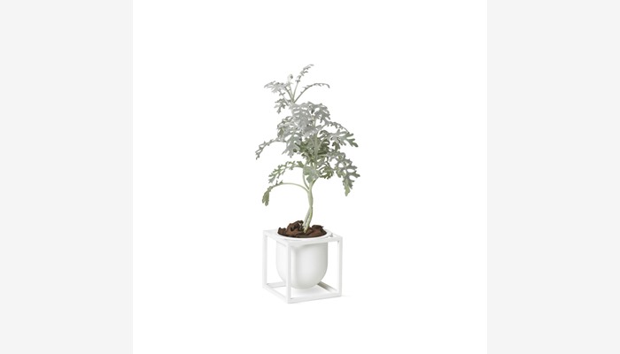 byLassen_Kubus-Flowerpot-10_white_plant_300